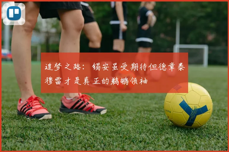 追梦之路：锡安虽受期待但德章泰穆雷才是真正的鹈鹕领袖