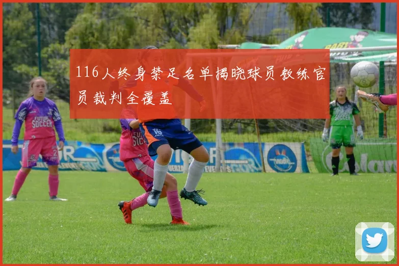 116人终身禁足名单揭晓球员教练官员裁判全覆盖